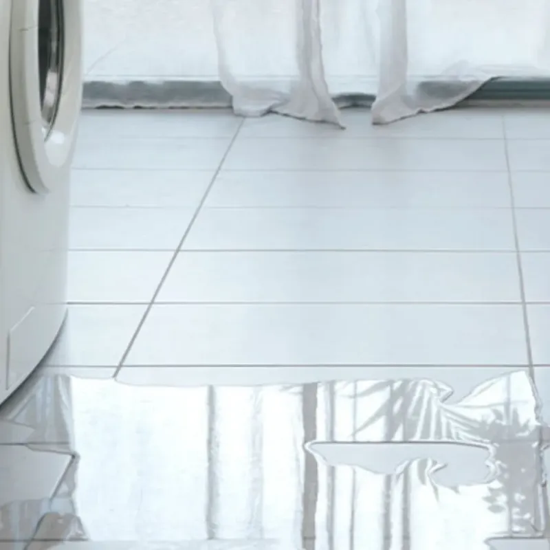 Appliance Leak Cleanup in Pittsylvania County, VA