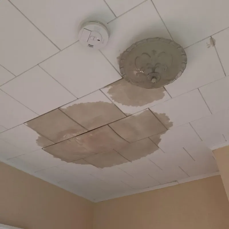 Ceiling Water Damage Repair in Pittsylvania County, VA