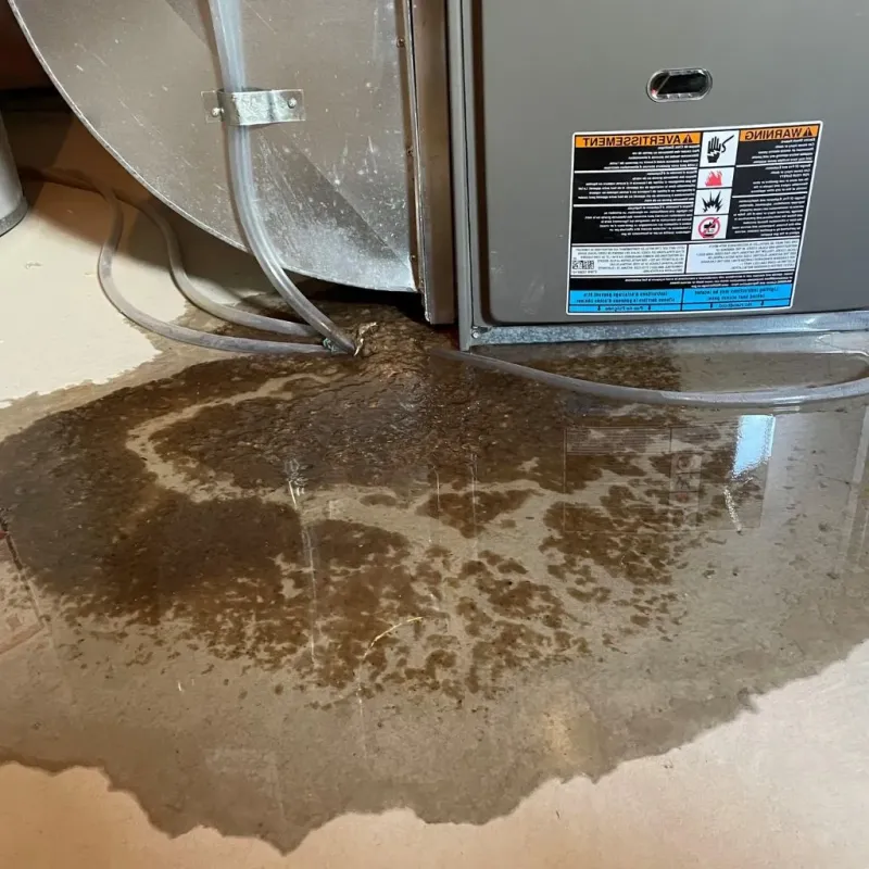 Pipe Burst and Leak Restoration in Pittsylvania County, VA