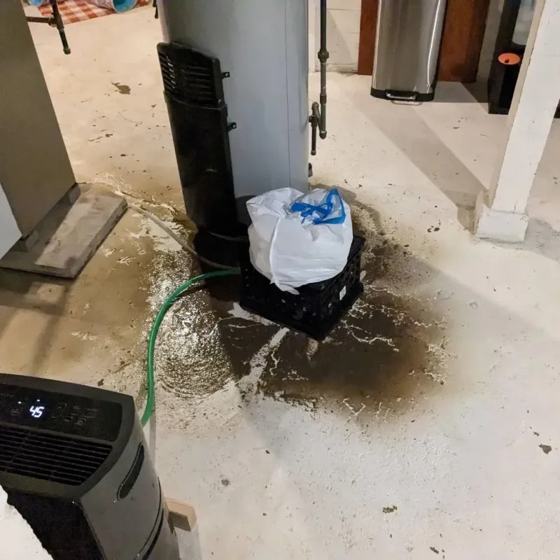 Sewage Backup Cleanup Service in Pittsylvania County, VA